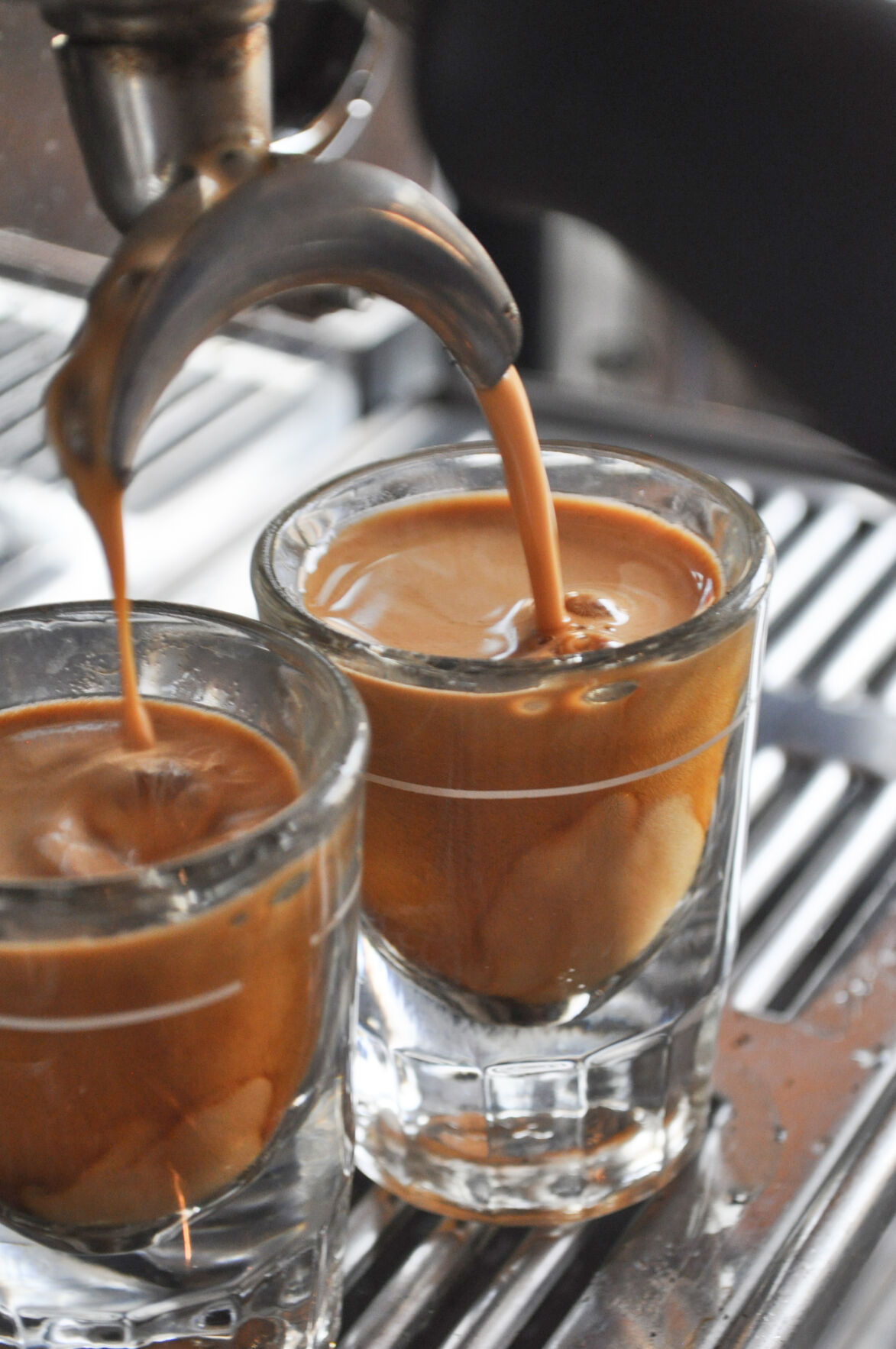 Blue Tick Coffee photo